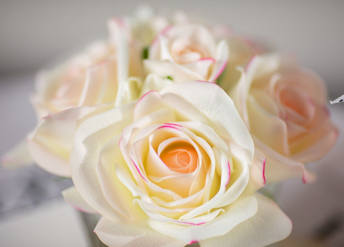 Cote Noire five roses in clear glass, pink blush detail