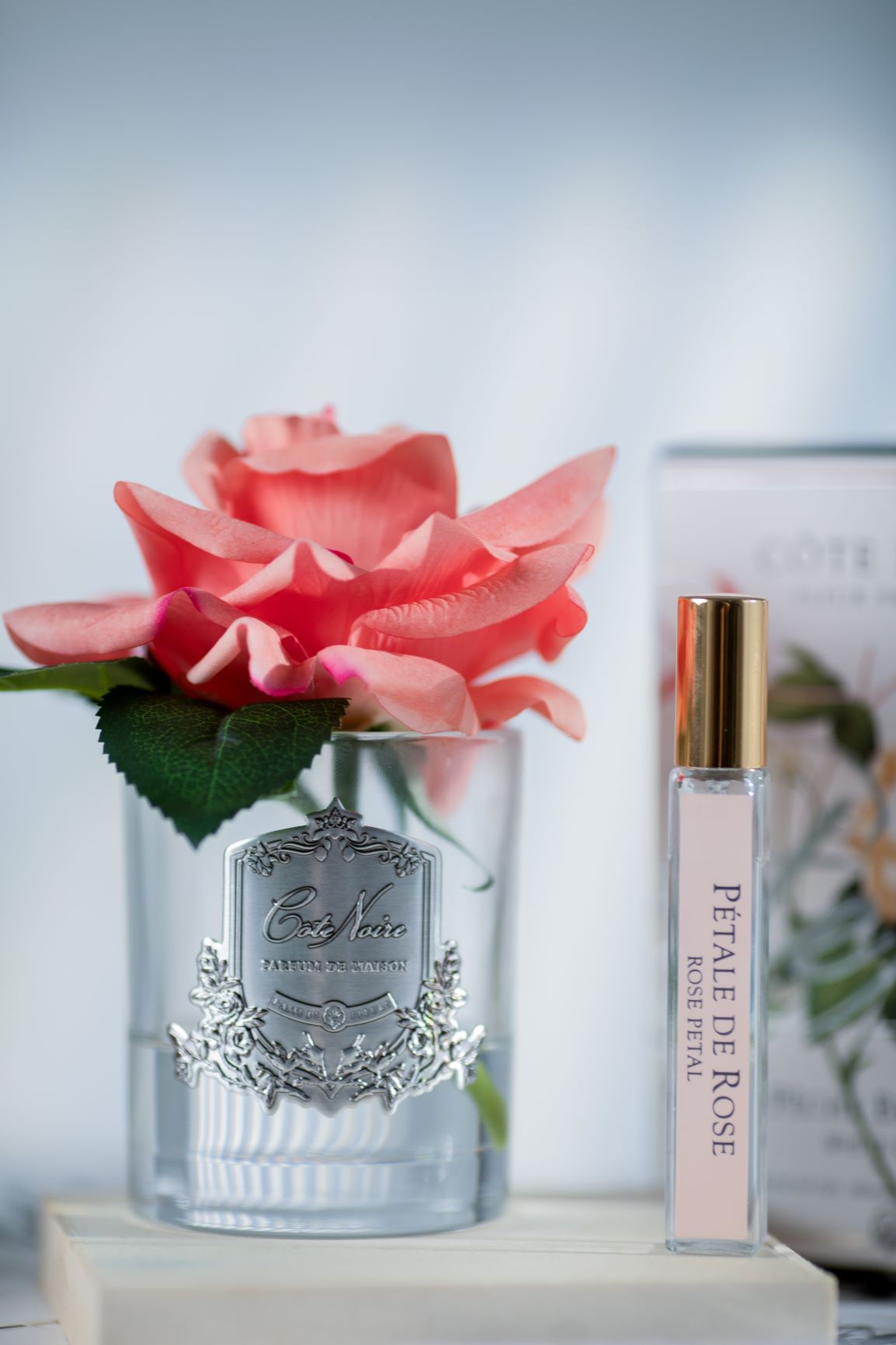 Cote Noire single white peach rose in clear glass vase, side view