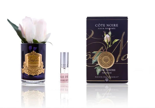 Cote Noire perfumed natural touch rose bud in pink blush, black glass jar, GMRB42