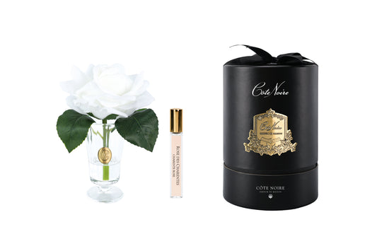 Cote Noire Charente rose in ivory white with gold badge, black gift box