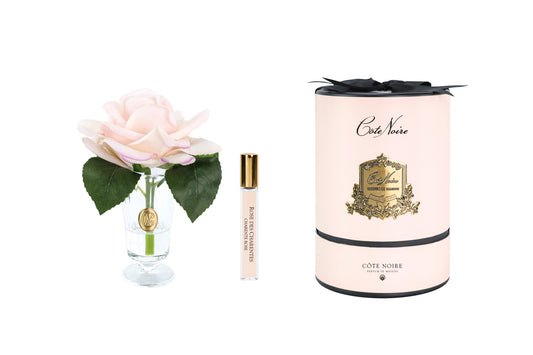 Cote Noire Charente rose in champagne pink with gold badge, pink gift box