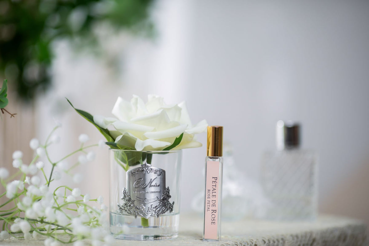 Cote Noire single ivory white rose in clear glass vase with silver crest, close up