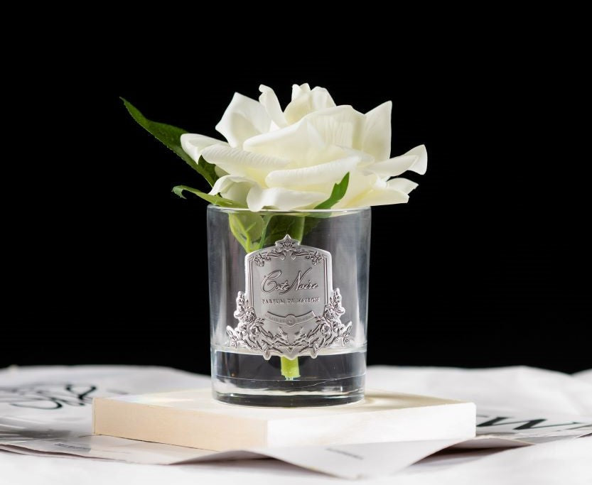 Cote Noire single ivory white rose in clear glass vase