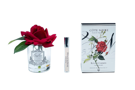 Cote Noire single French rose in clear glass vase with red flower and silver crest
