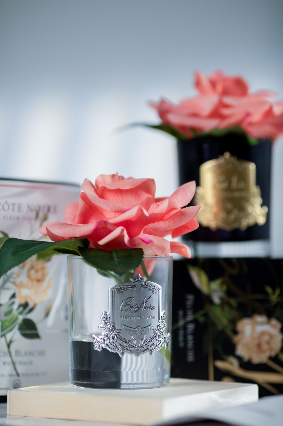 Cote Noire single white peach rose in clear glass vase