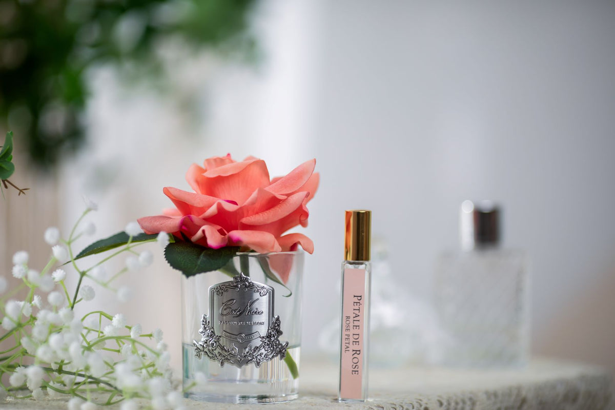Cote Noire single white peach rose in clear glass vase, close up