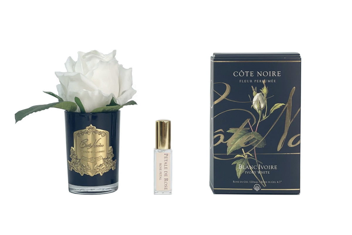 Cote Noire rose bud in black glass with ivory white flower