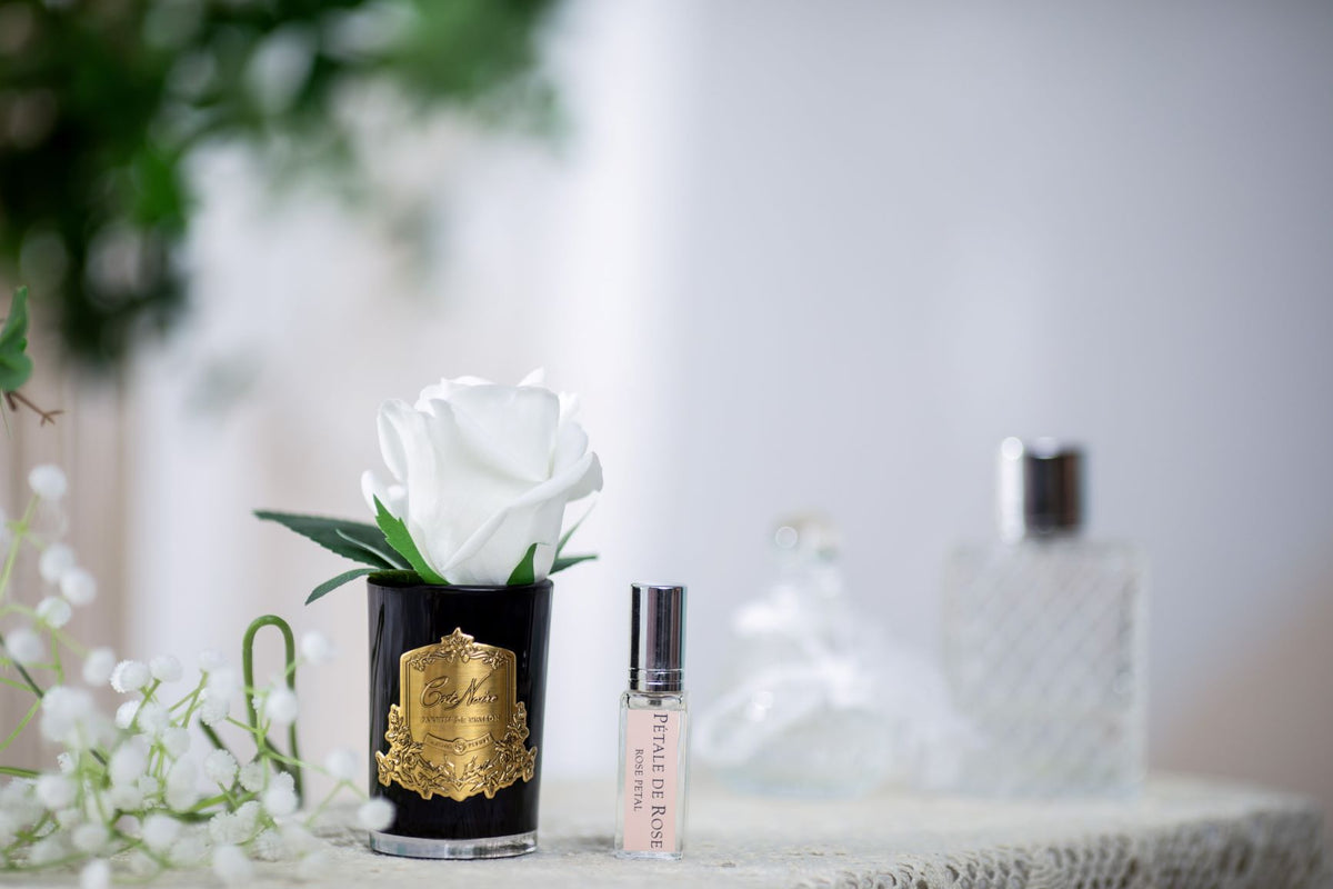 Cote Noire rose bud in black glass, ivory white, close up