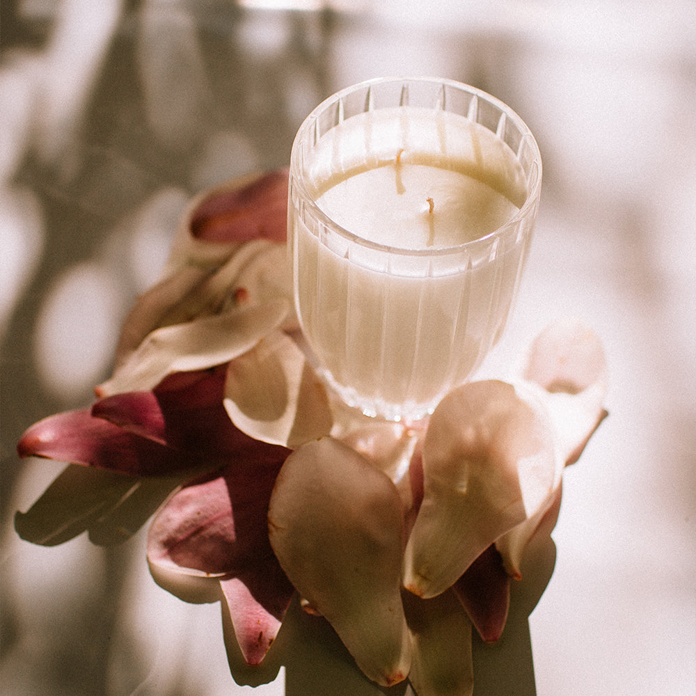 Peppermint Grove Fressia and Berries candle, styled photo