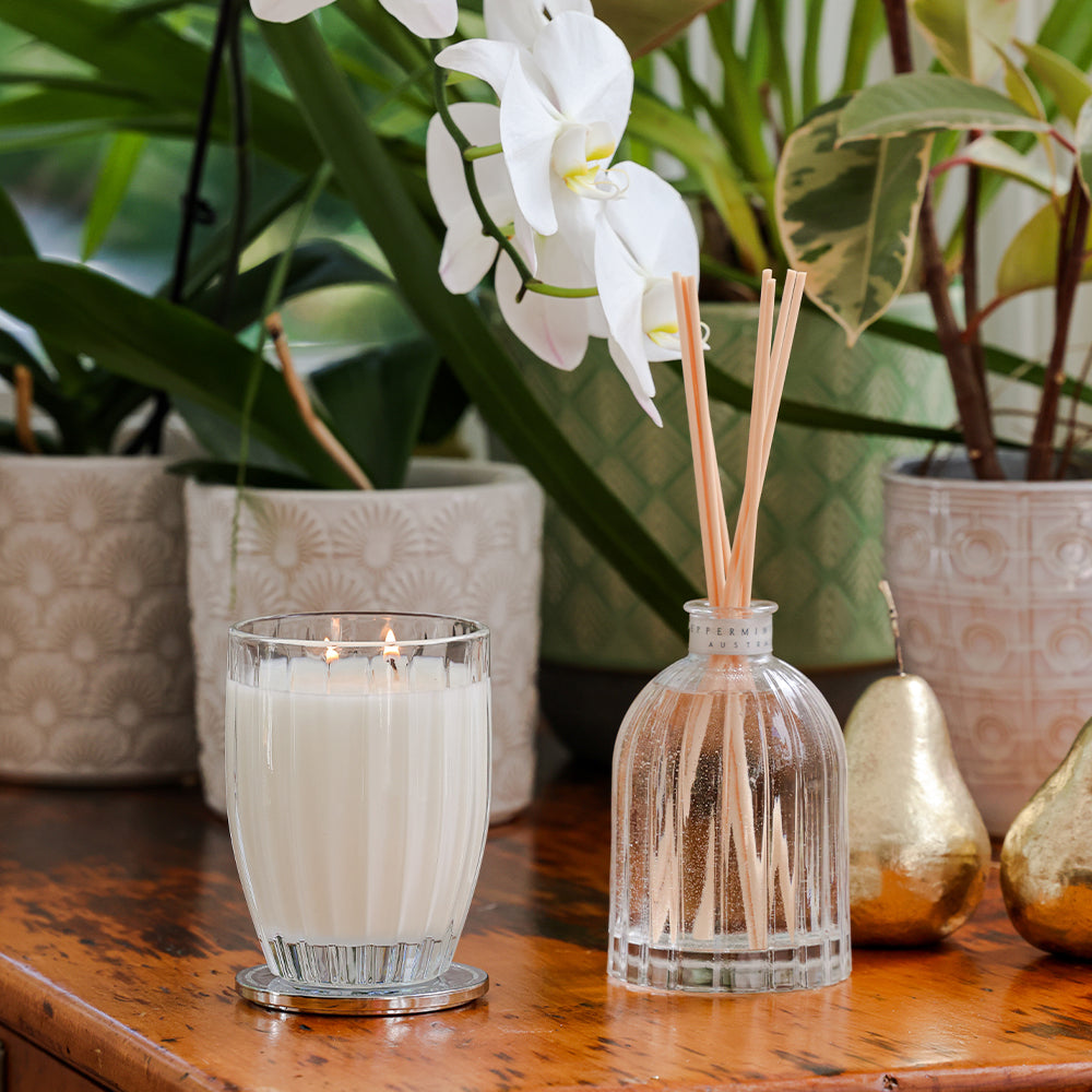 Peppermint Grove Gardenia candle, styled photo