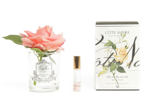 Cote Noire single rose in clear glass with white peach flower and gift box