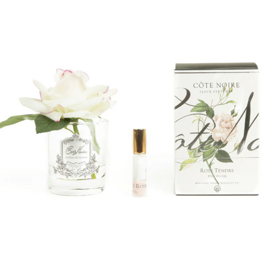 Cote Noire perfumed natural touch single rose in pink blush, clear glass, GMR02