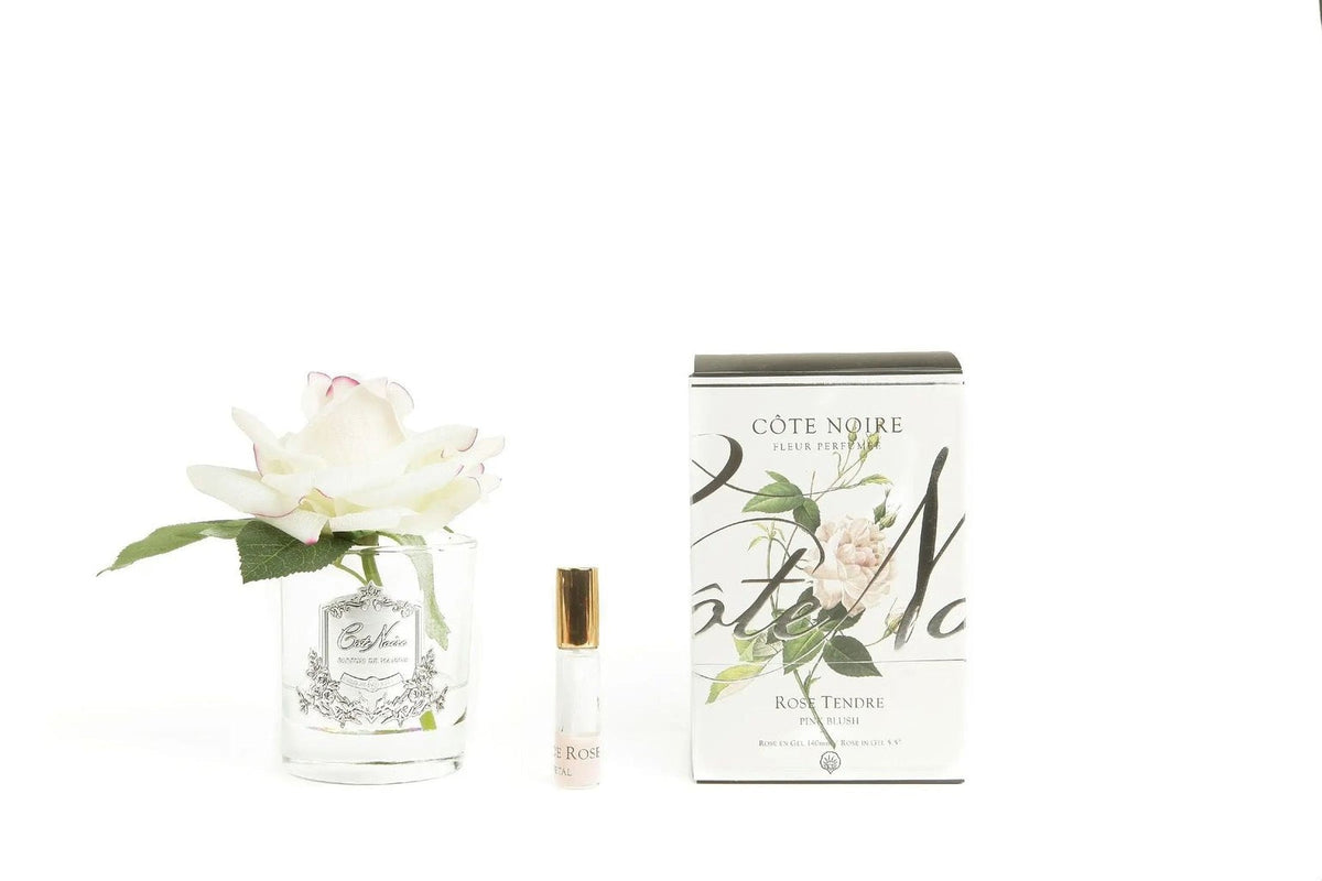 Cote Noire perfumed natural touch single rose in pink blush, clear glass, with box