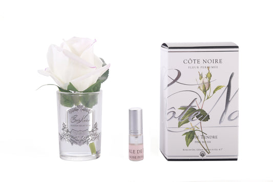 Cote Noire rose bud in clear glass with pink blush flower and gift box