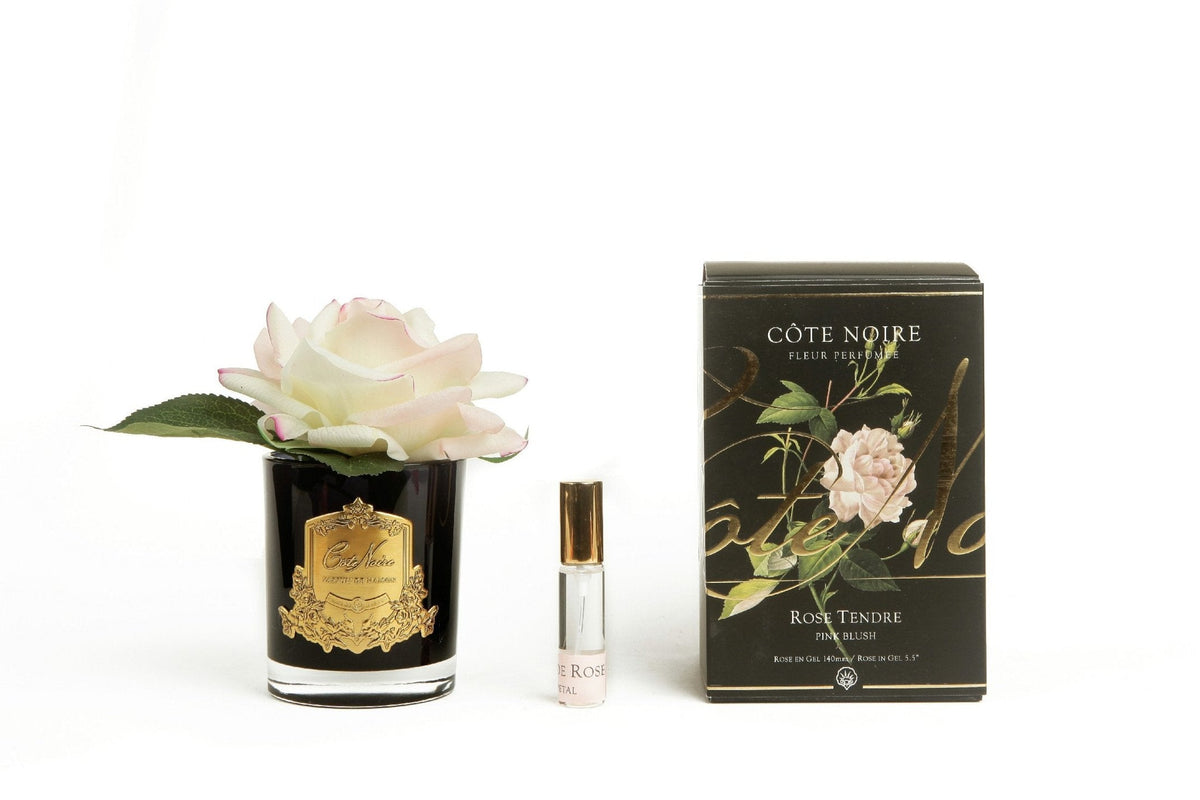 Cote Noire single rose in black glass with pink blush flower and gift box