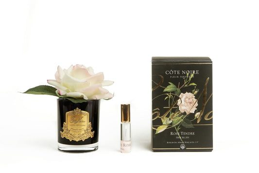 Cote Noire single rose in black glass with pink blush flower and gift box