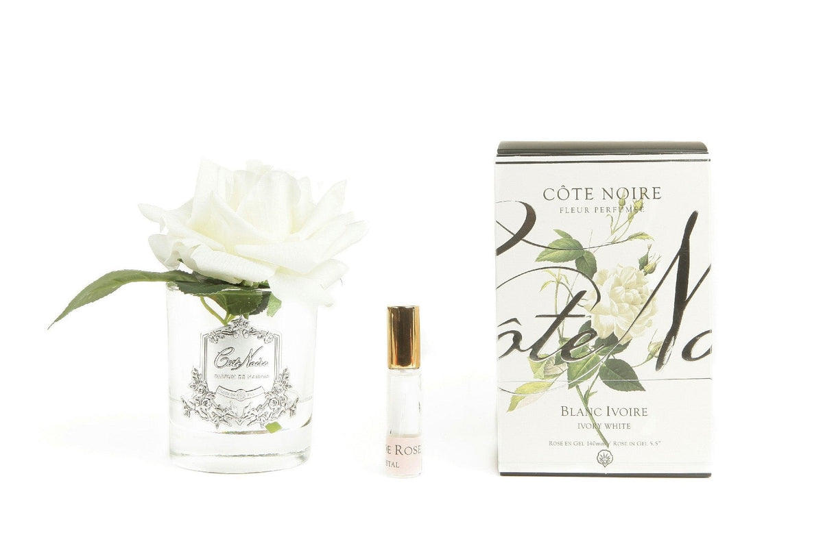 Cote Noire perfumed natural touch single rose in clear glass with ivory white flower and gift box