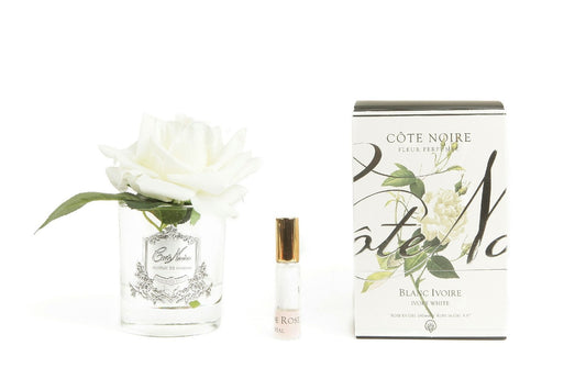 Cote Noire perfumed natural touch single rose in clear glass with ivory white flower and gift box