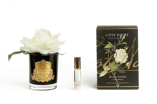 Cote Noire single French rose in black glass with ivory white flower, gold crest, gift box